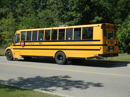 Bus Info