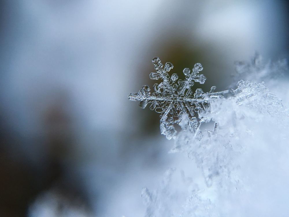 SNOW DAY!!!