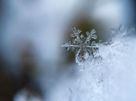 SNOW DAY!!!