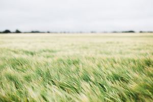 Message from Dept. of Agricultural Resources