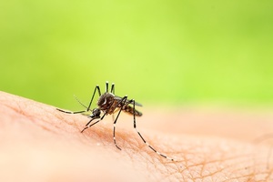 Aerial Spraying Update